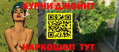 мдпв Камышлов