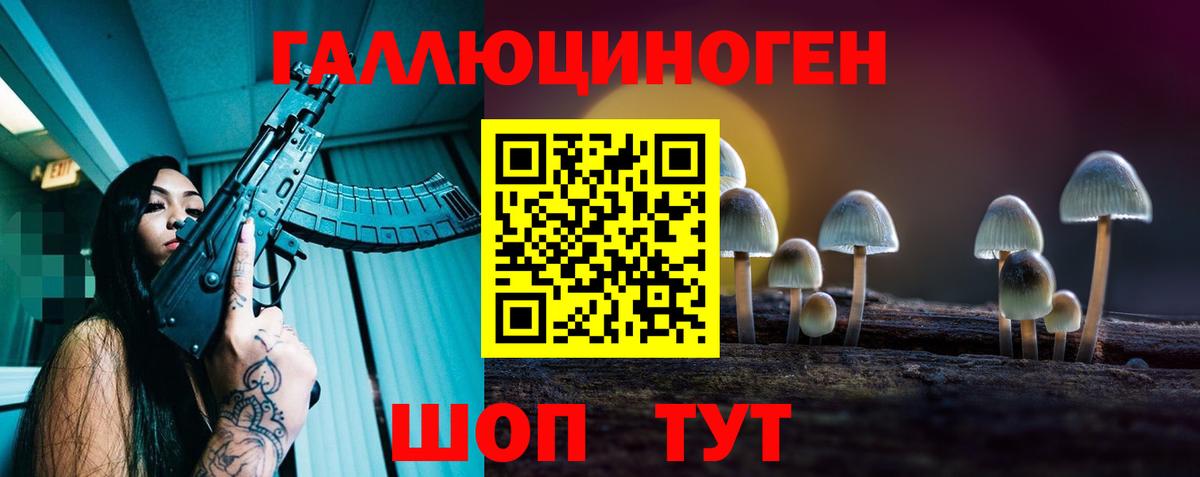как найти   Вход с VPN  Щёлково  Галлюциногенные грибы GOLDEN TEACHER 